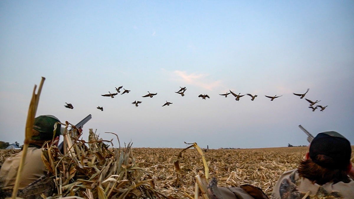 Meet Max + Our BEST Goose Hunt at Iowa State University Campus Waterfowl