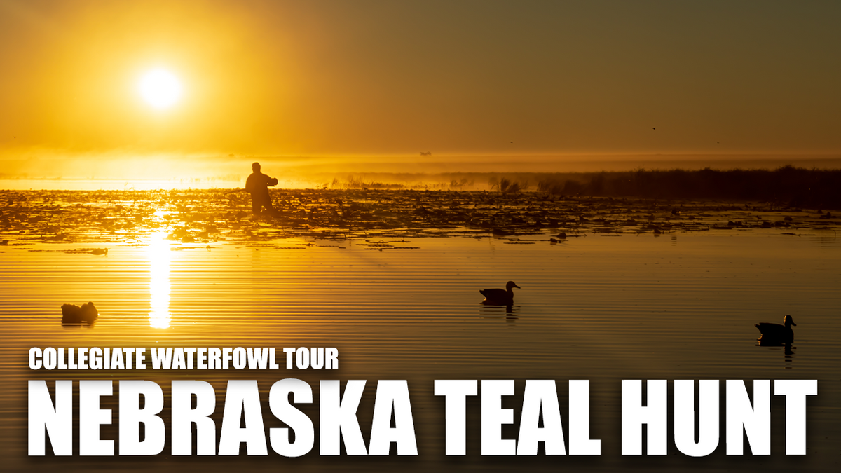 Teal Hunting in Nebraska Collegiate Waterfowl Tour Campus Waterfowl