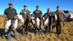 Goose hunting with NO WIND IN NORTH DAKOTA??