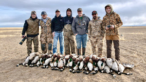 Hunting Honkers and Greenheads in Montana (OUR BEST DAY)