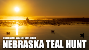 Teal Hunting in Nebraska - Collegiate Waterfowl Tour